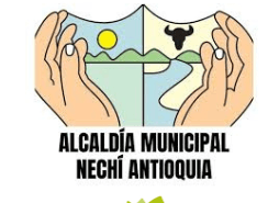 Alcaldia municipal Nechí